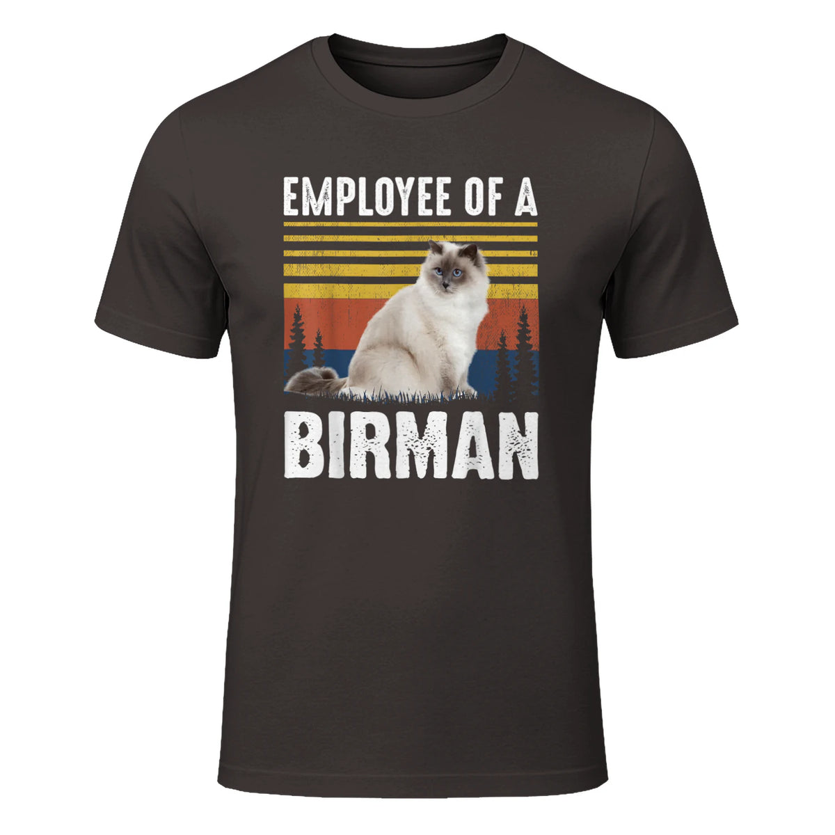 Chat – Employée de Birmanie – Sainte Birmanie in Dark Chocolate - front view