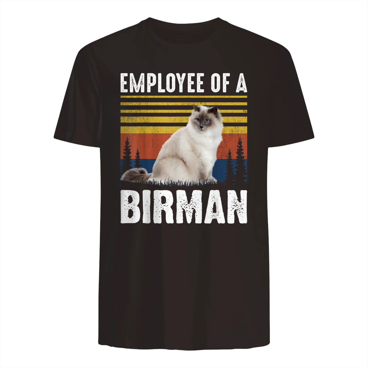 Chat – Employée de Birmanie – Sainte Birmanie in Dark Chocolate - back view