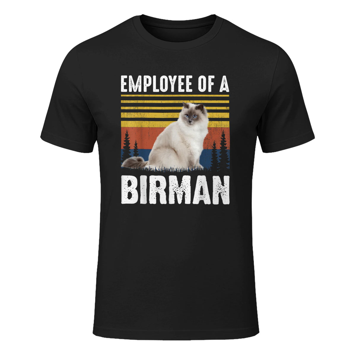 Chat – Employée de Birmanie – Sainte Birmanie in Black - front view