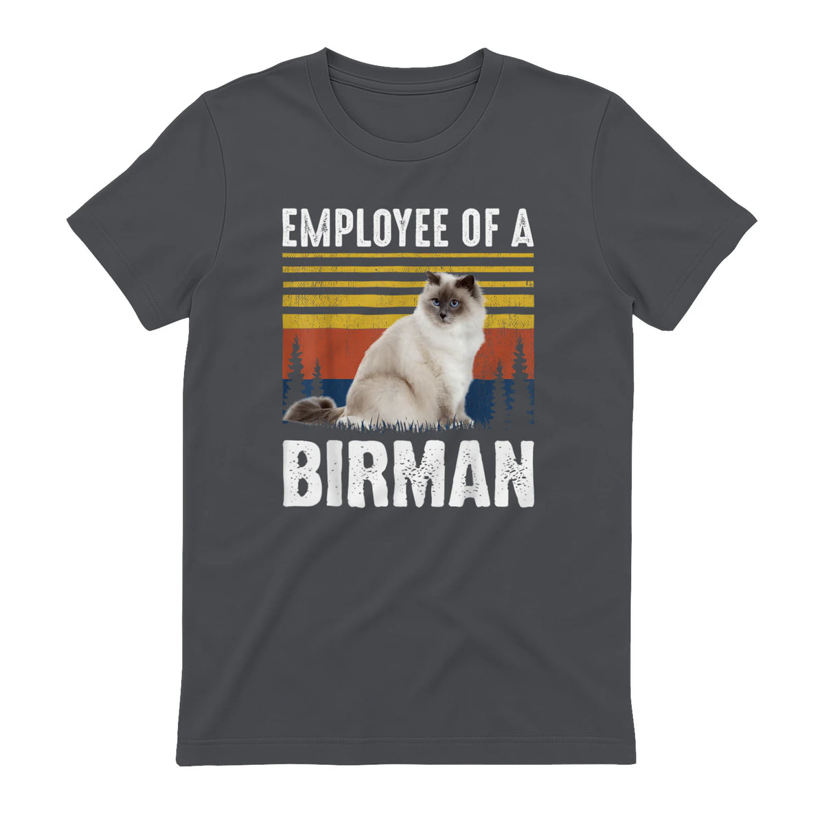 Chat – Employée de Birmanie – Sainte Birmanie in Charcoal - back view
