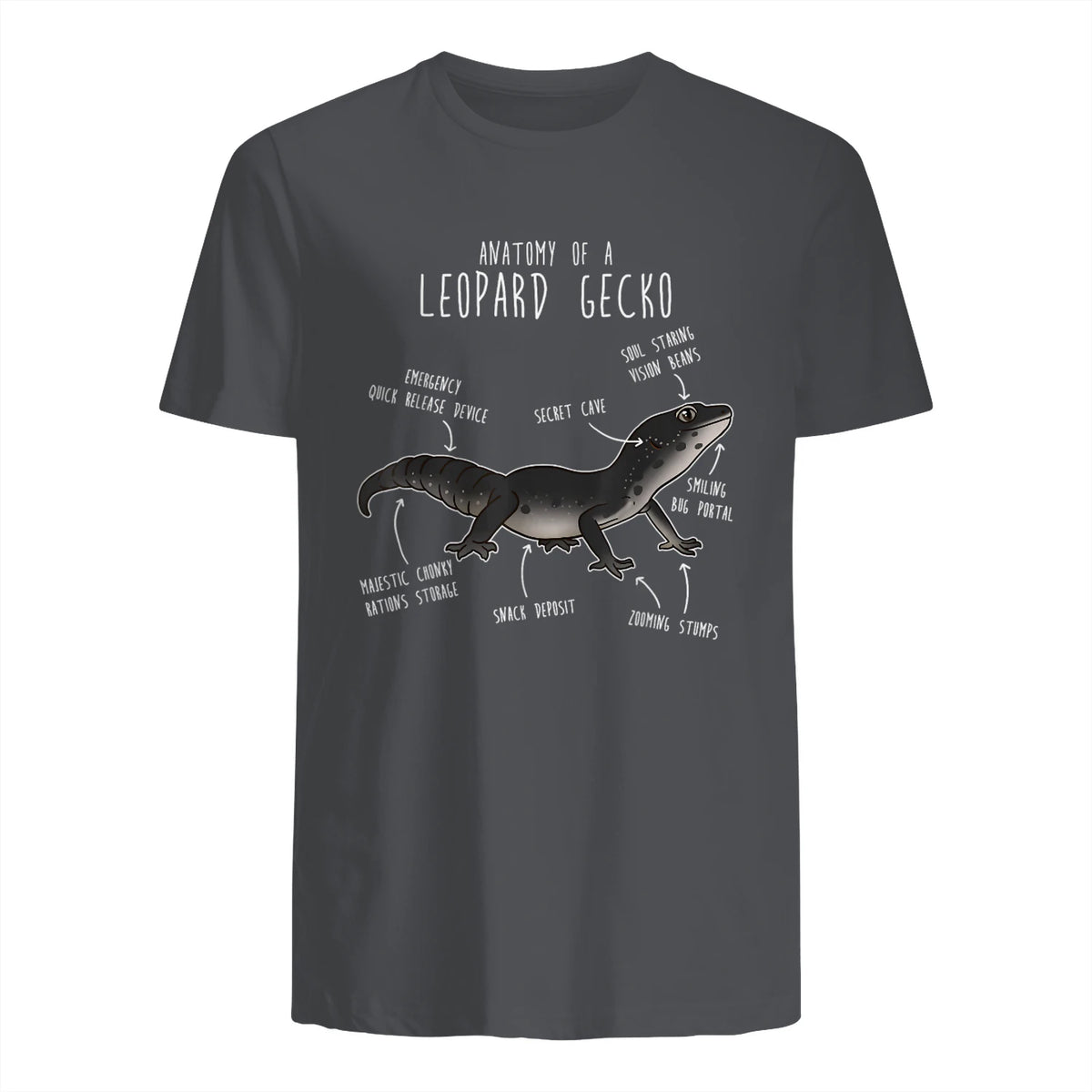 Black Night Leopard Gecko Lézard Reptile Anatomie drôle animal de compagnie in Charcoal - back view