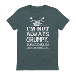 I'm not always grumpy, sometimes I'm on my in Dark Heather - back view