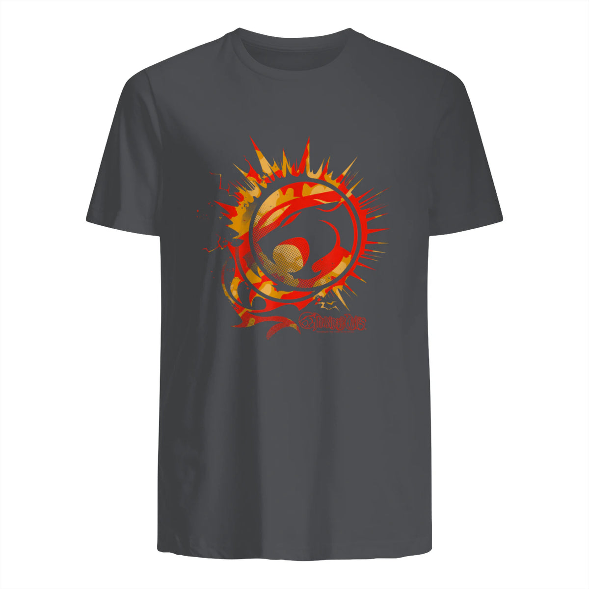 Thundercats Flare Circle Logo T-Shirt in Charcoal - back view