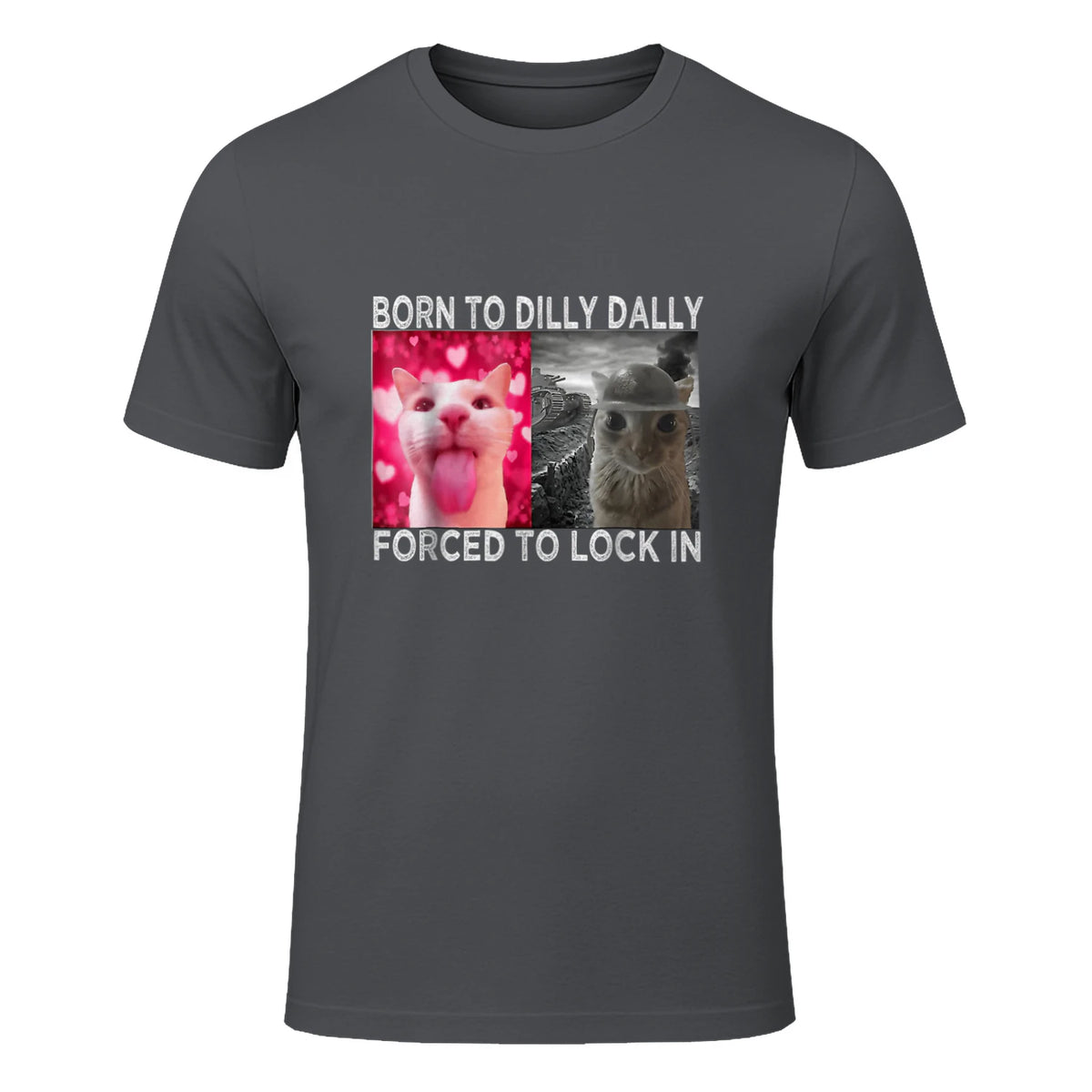 Born to Dilly Dally Forced to Lock in Cat Meme T-Shirt in Charcoal - front view