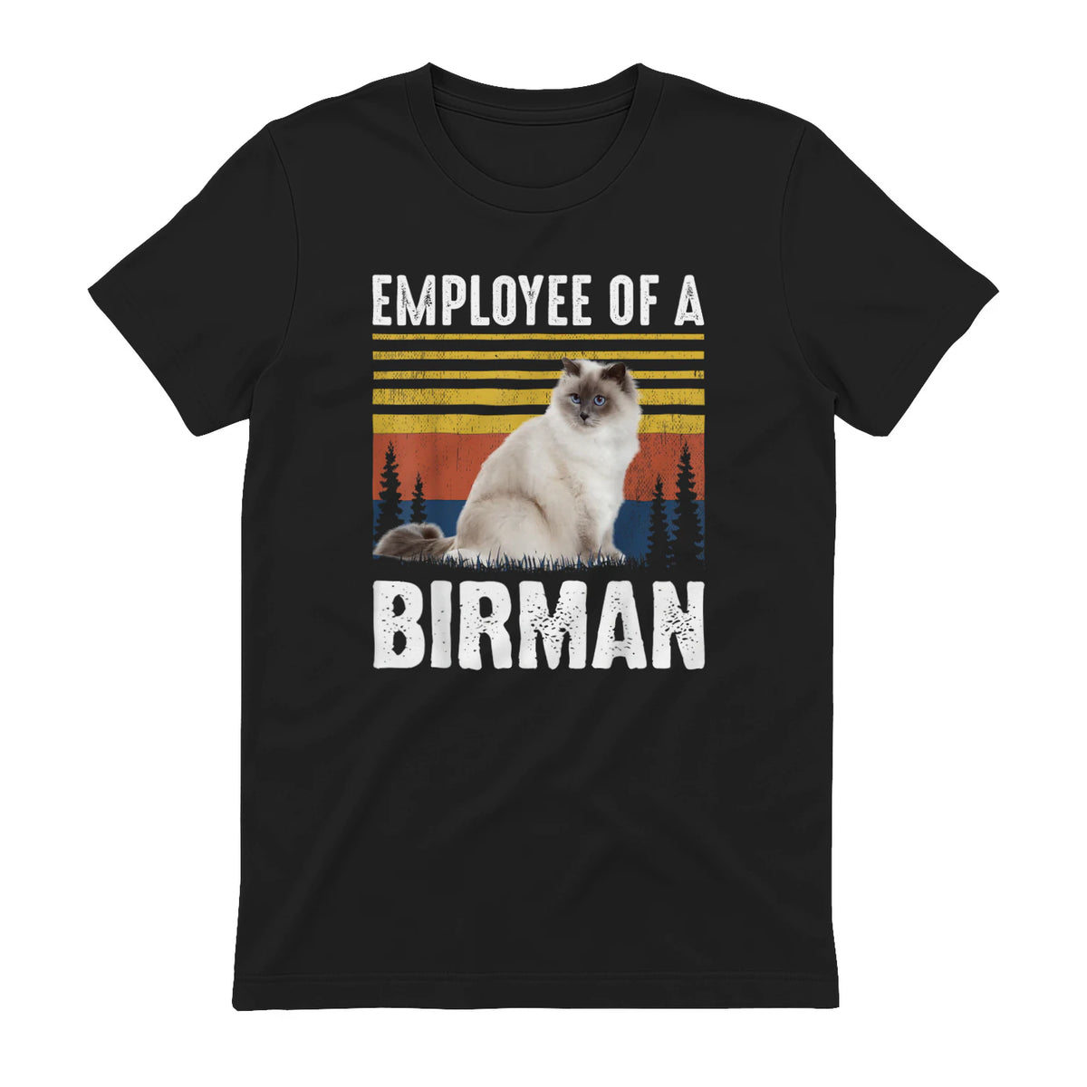 Chat – Employée de Birmanie – Sainte Birmanie in Black - back view