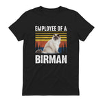 Chat – Employée de Birmanie – Sainte Birmanie in Black - back view