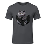 Cat Lovers British Shorthair In Pocket Fun Kitten in Charcoal - front view