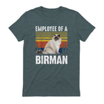 Chat – Employée de Birmanie – Sainte Birmanie in Dark Heather - back view