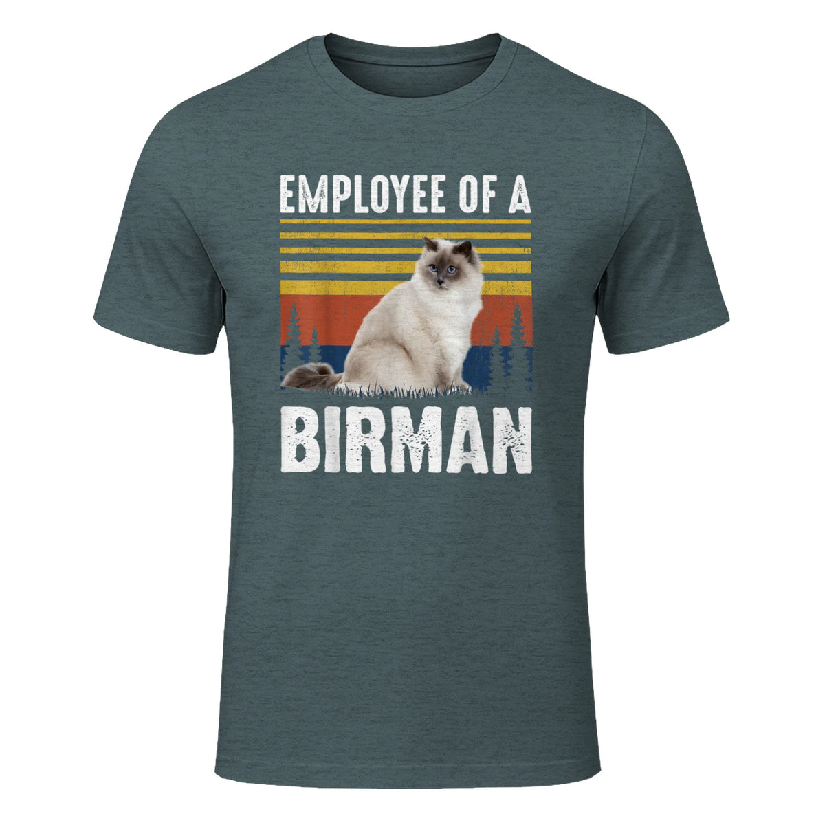 Chat – Employée de Birmanie – Sainte Birmanie in Dark Heather - front view