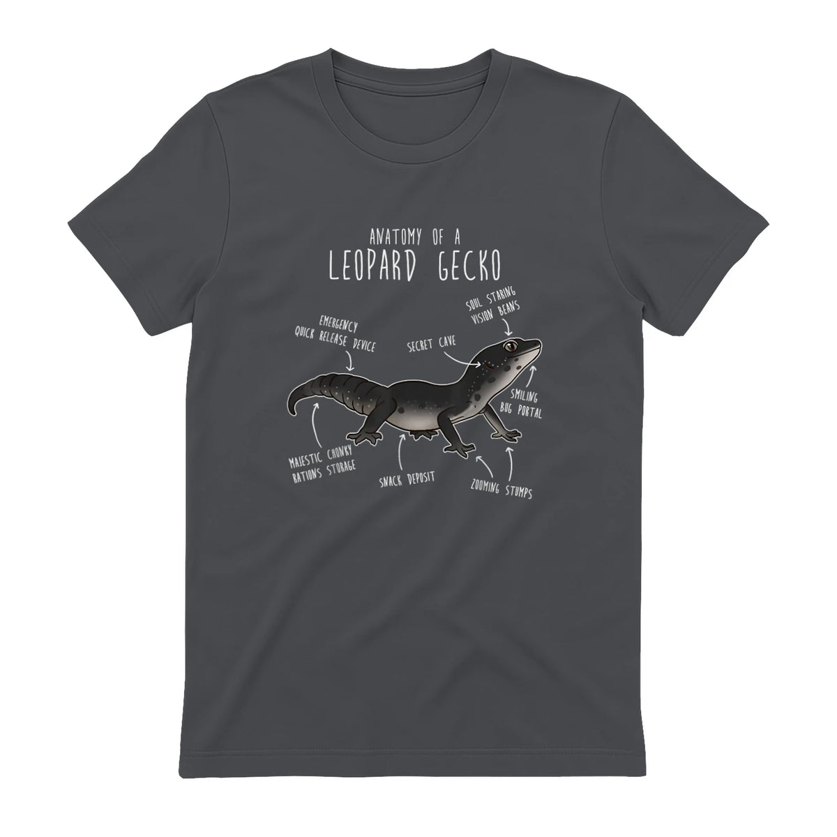 Black Night Leopard Gecko Lézard Reptile Anatomie drôle animal de compagnie in Charcoal - back view