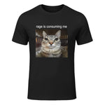 Rage is Consuming Me Silly Staring Cat Meme T-Shirt in Black - front view